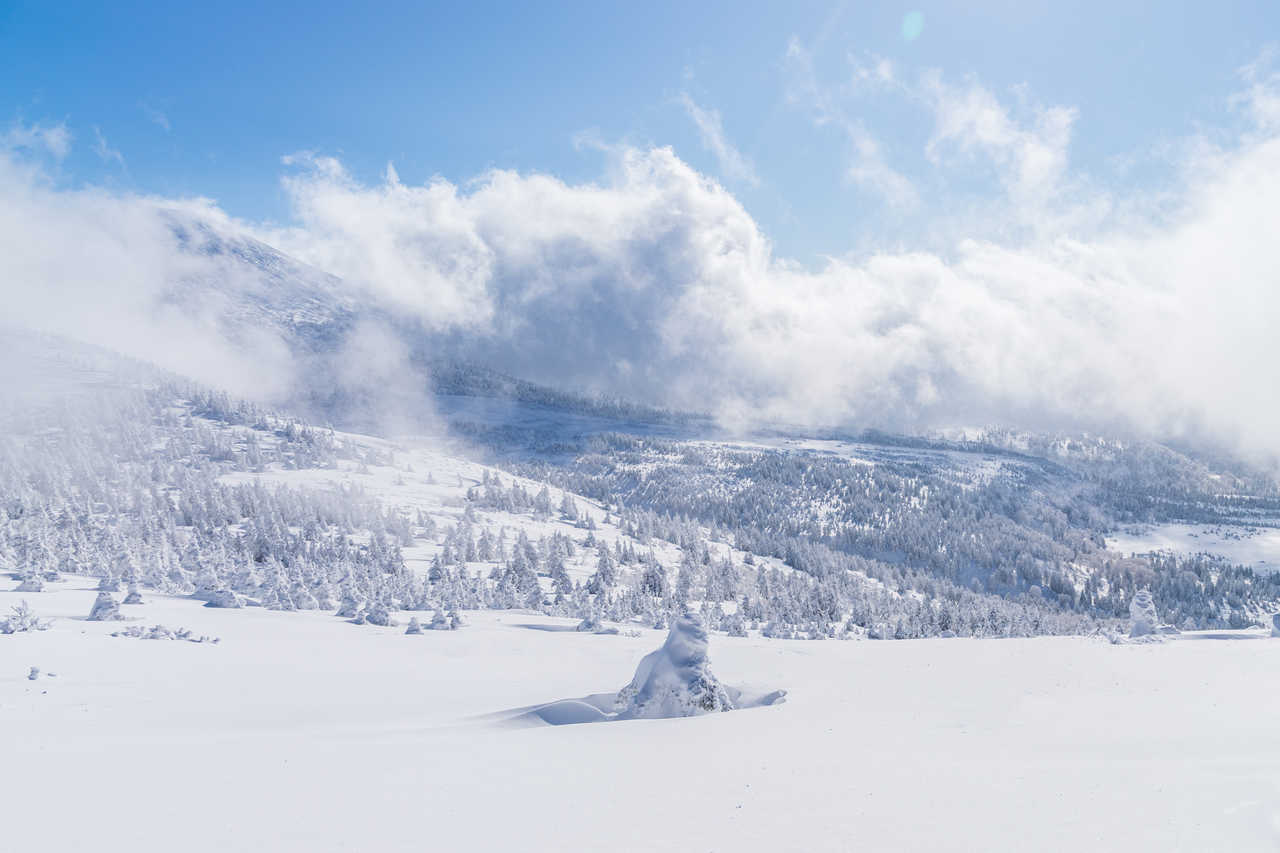 Paysage d'hiver dans la région de Hachimantai