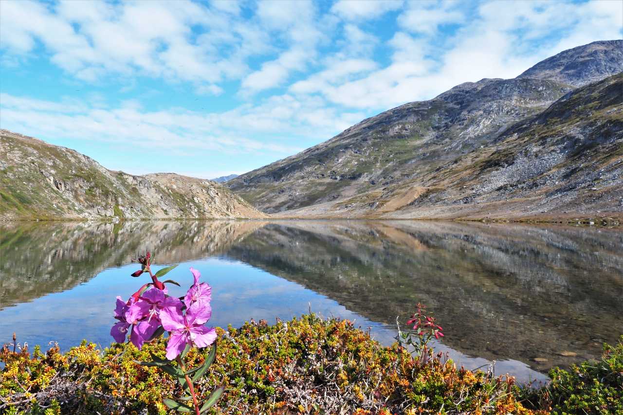 Paysage du Groenland Est l'été