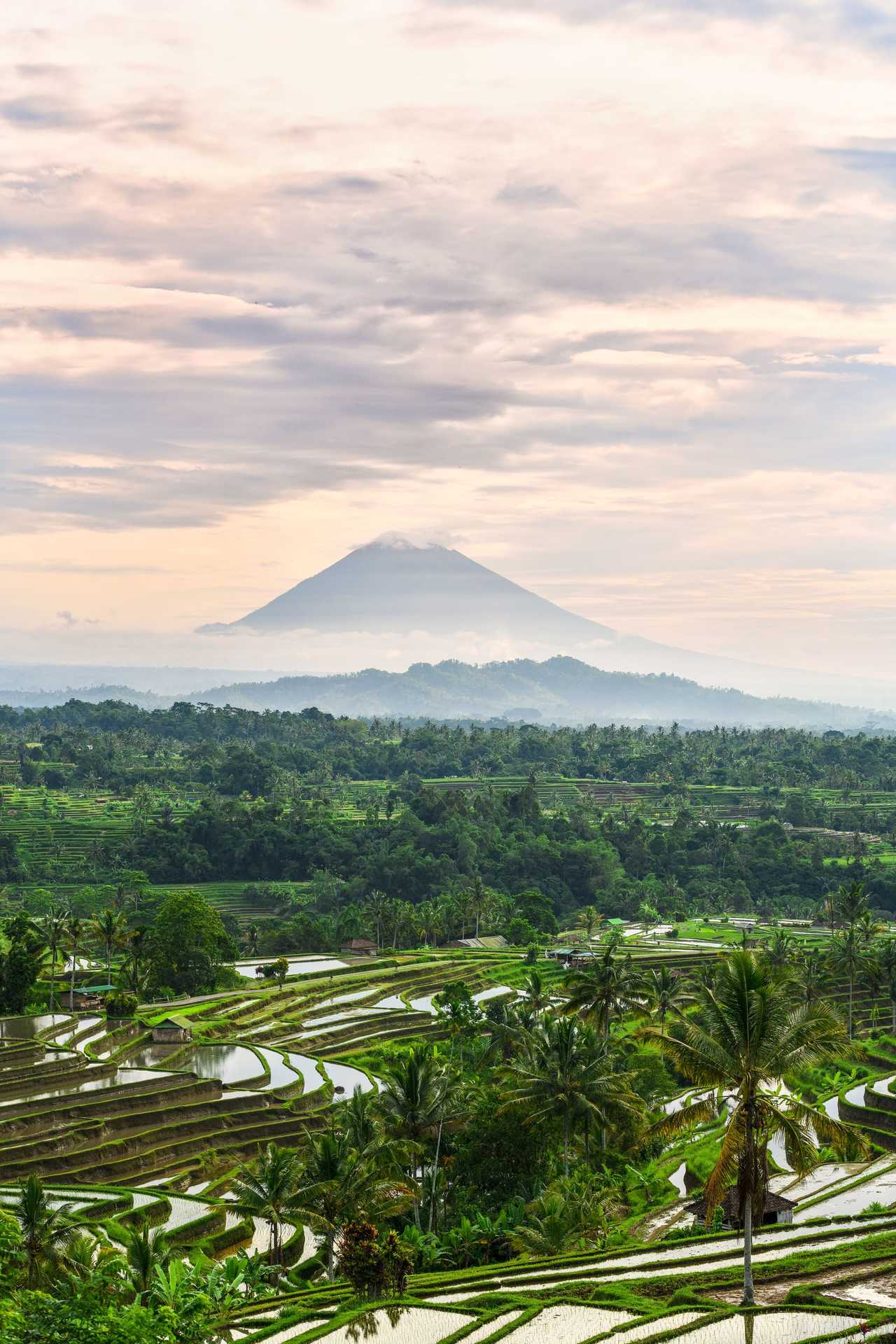 Paysage du  volcan Batur à Balie en Indonésie