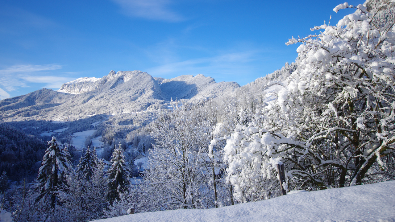 Paysage enneigé dans le Massif de la Chartreuse