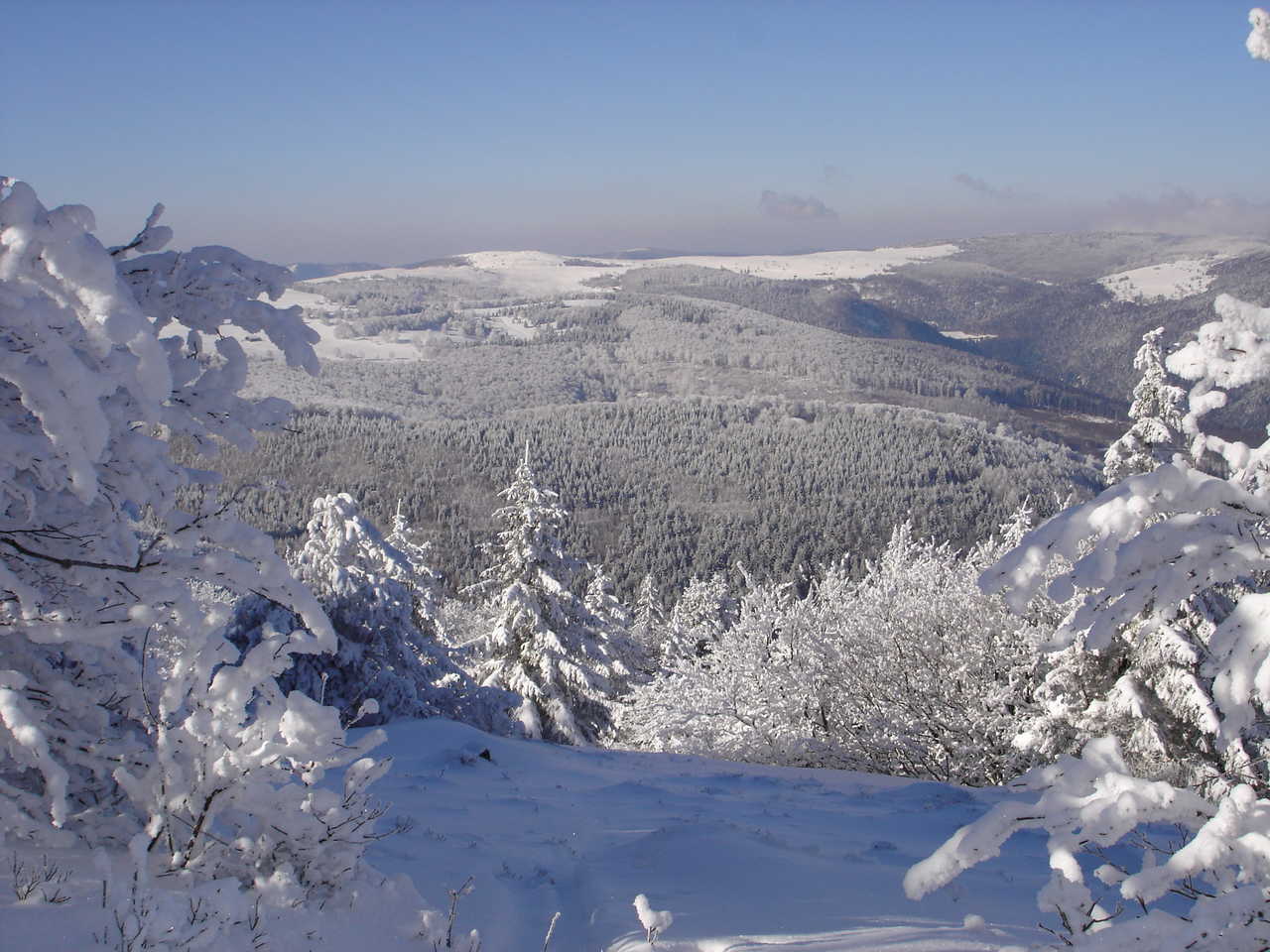 paysage enneigé des Vosges