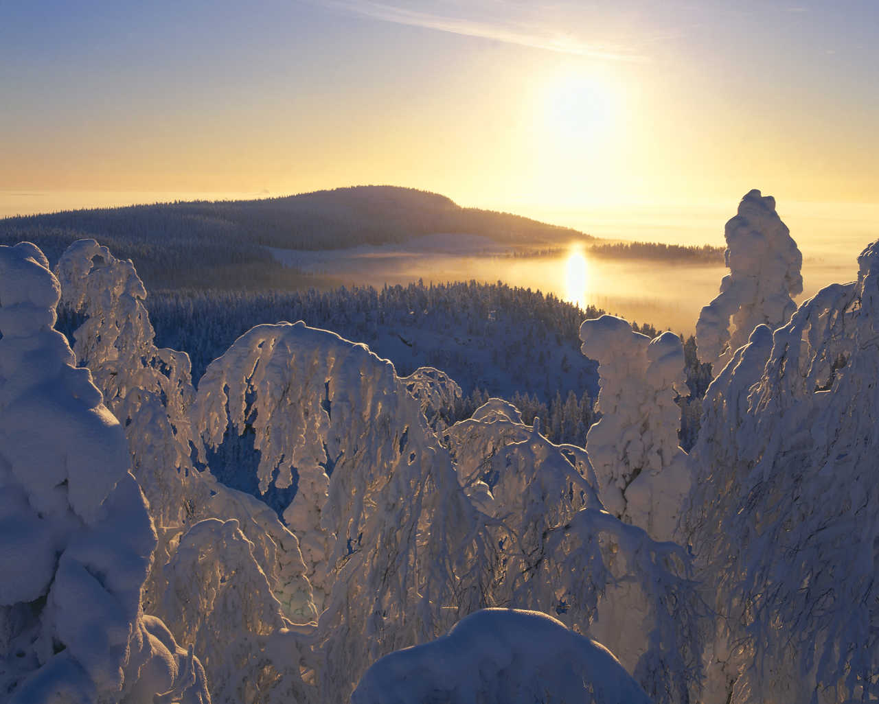 Paysage Finlande en hiver