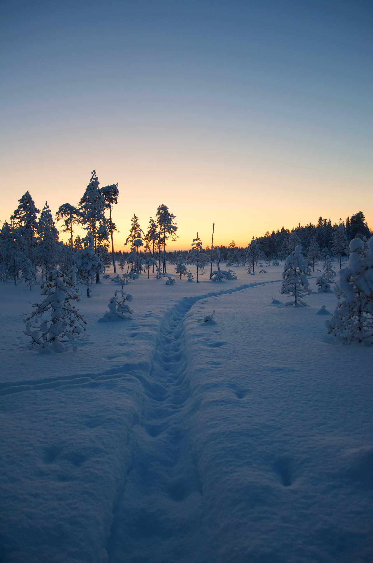Paysage hivernal en Finlande