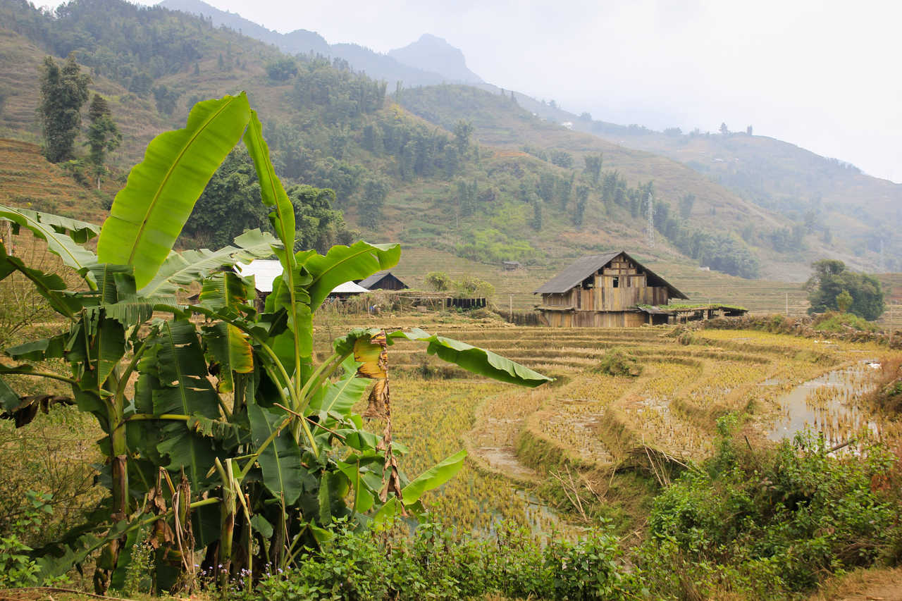 Paysage rural du Nord Vietnam