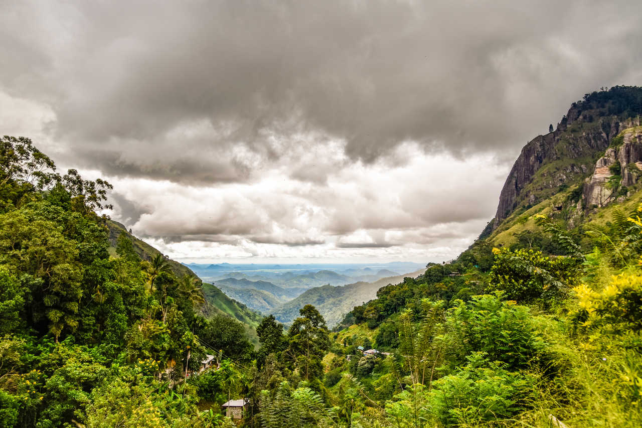 paysage Sri lankais