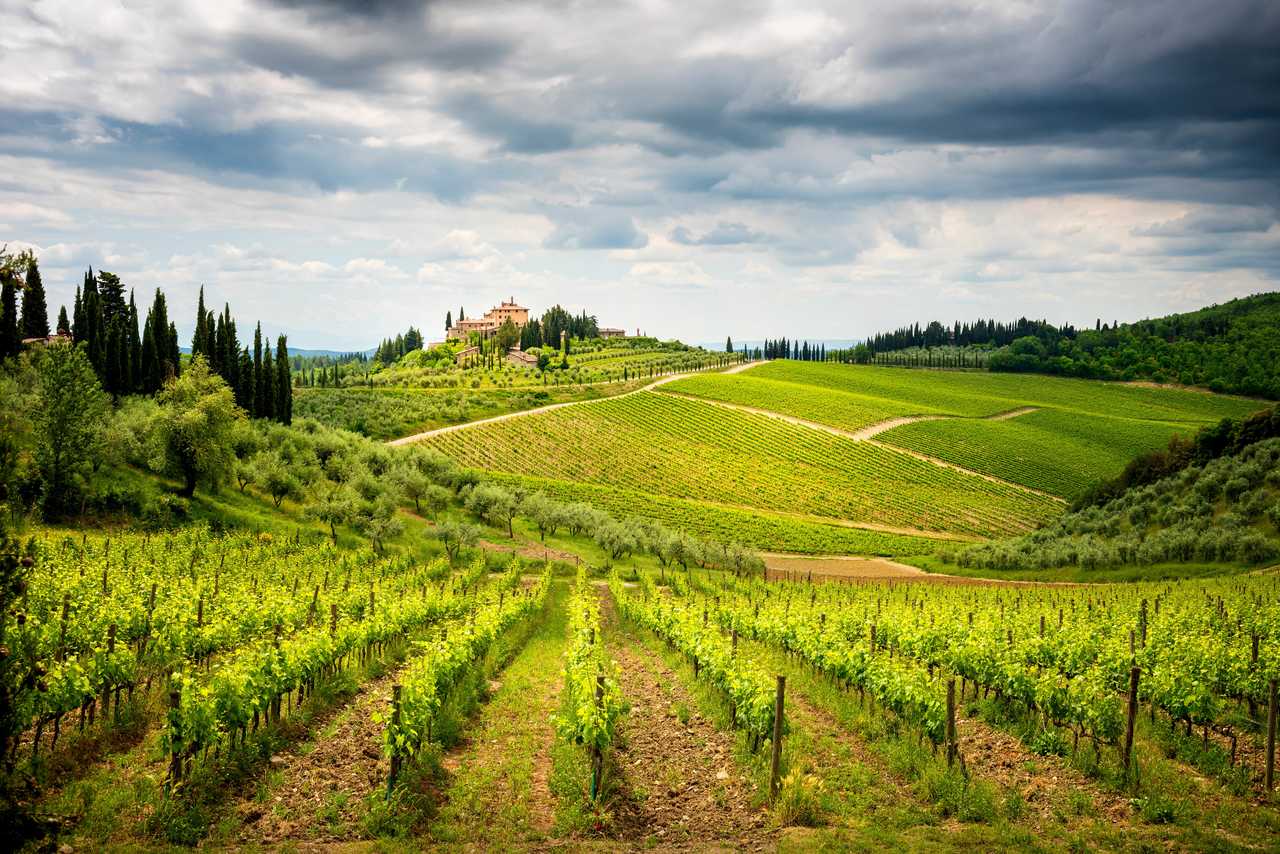 Paysages du Chianti entre Florence et Sienne