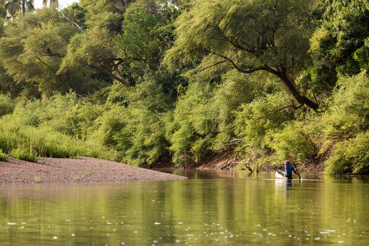 pêcheur dans la rivière de Gambie au Sénégal