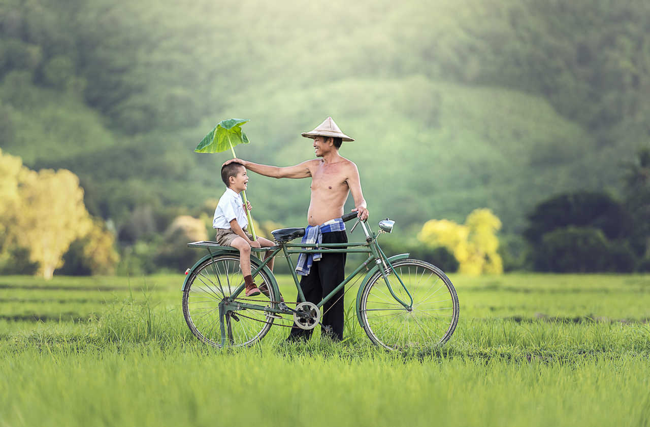 Père et fils dans les rizières au Vietnam