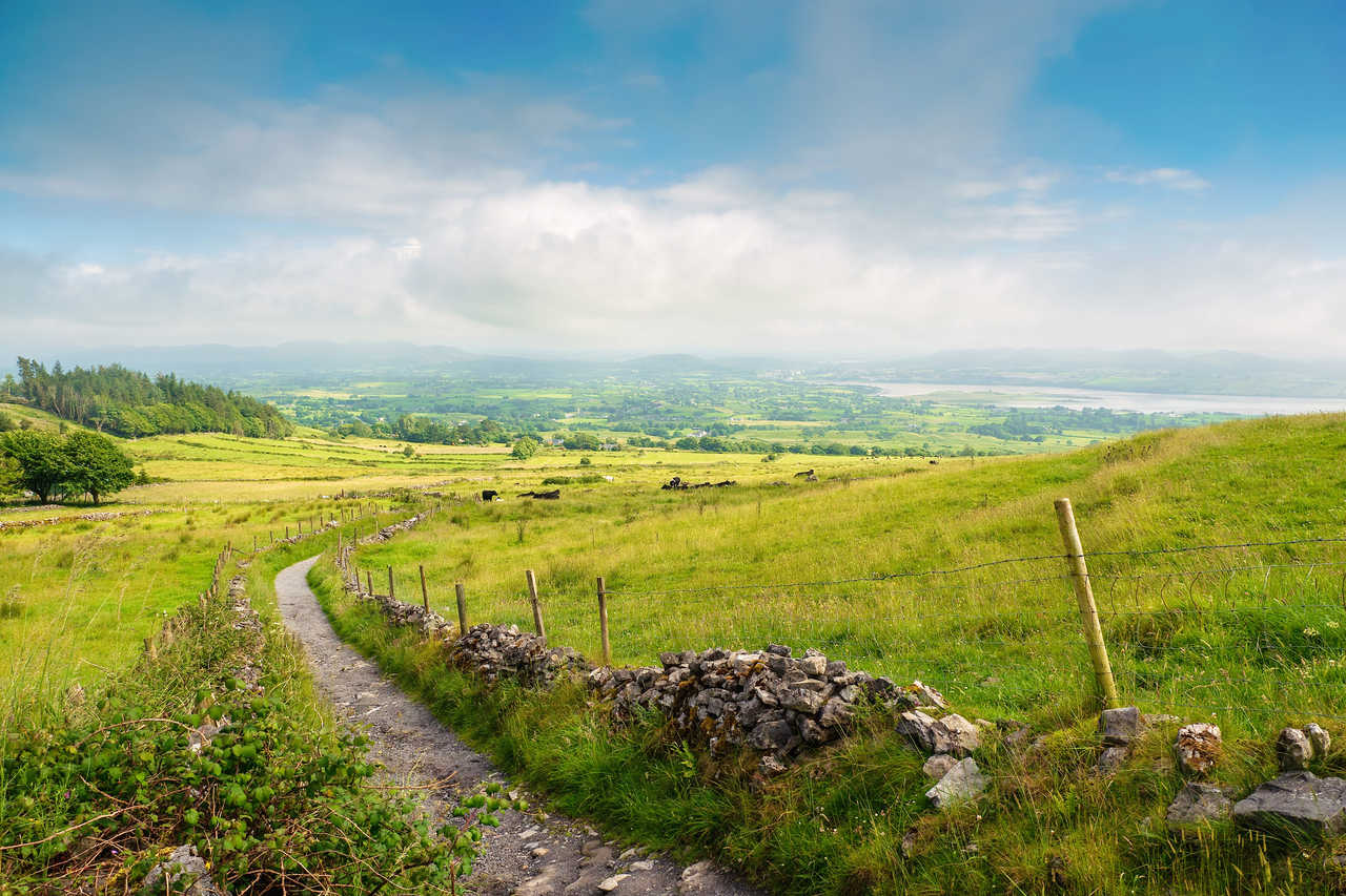 Petit chemin dans des champs verts dans la campagne irlandaise dans le comté de Sligo en Irlande