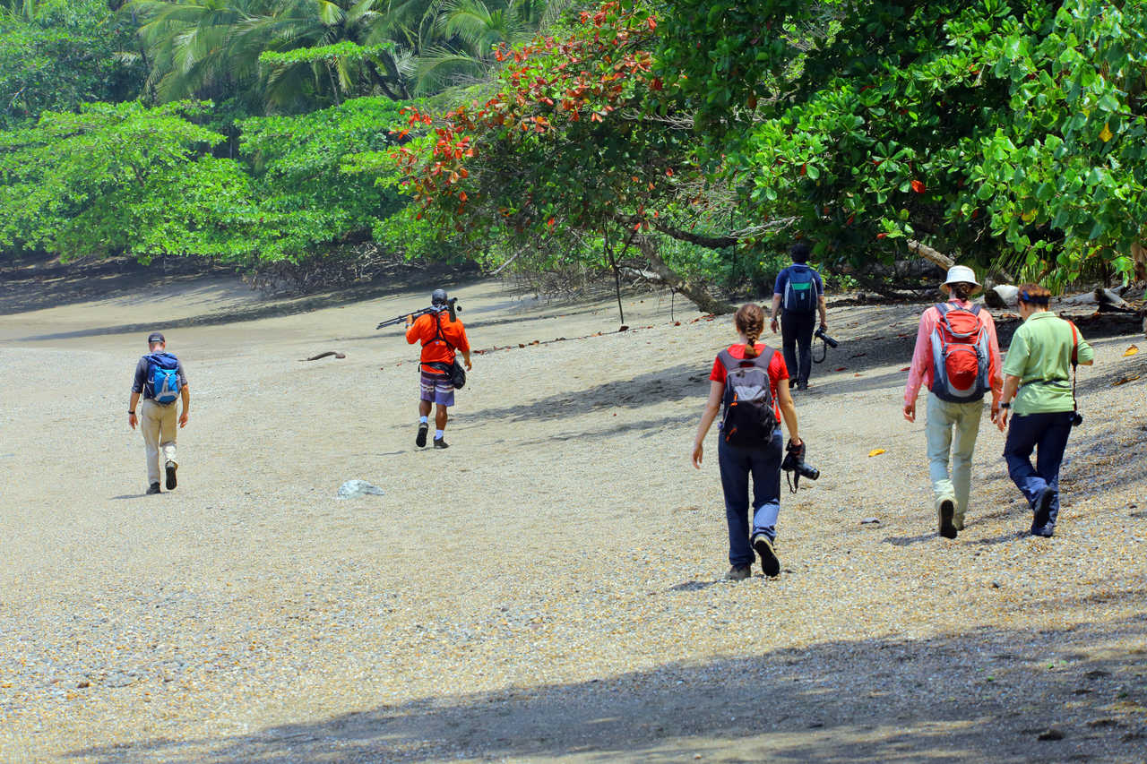 Petit groupe de randonneurs en bord de mer au Costa Rica