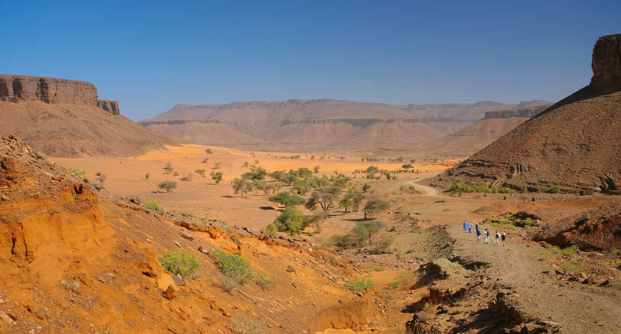 Petit groupe trek au milieu des plateaux tabulaires, Mauritanie