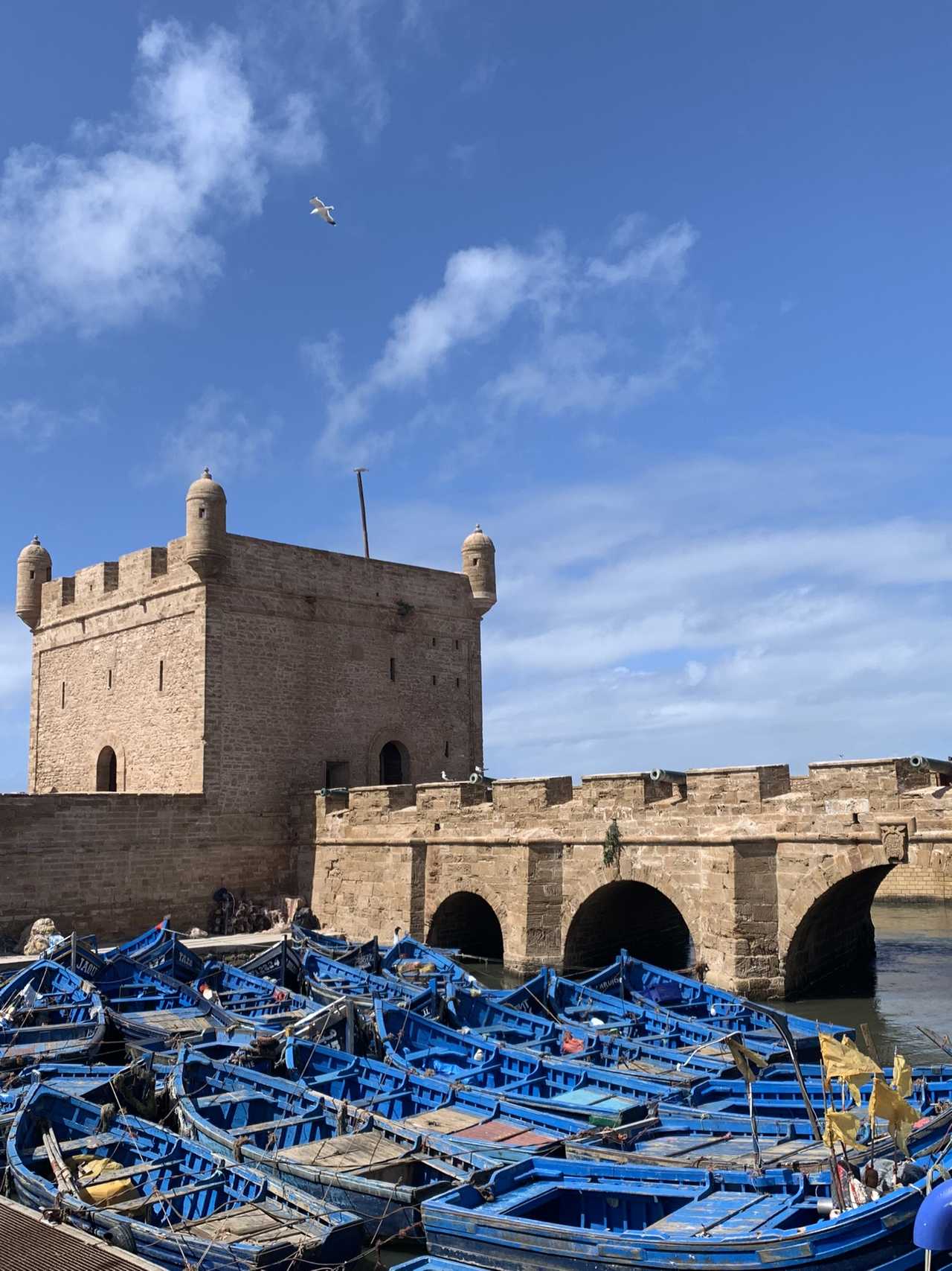 Petit port à Essaouira