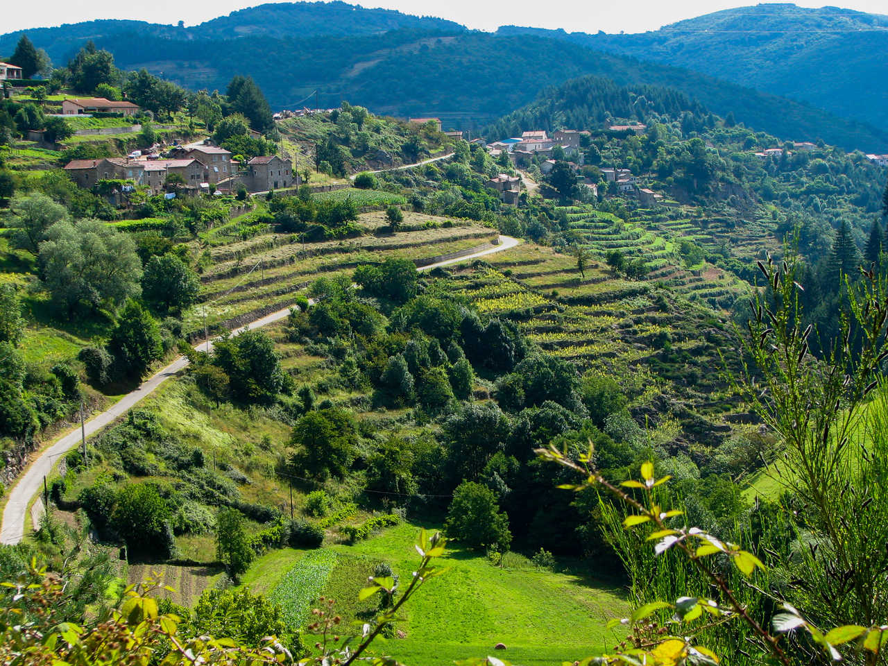 Photo de cultures en terrasse sur la Dolce Via