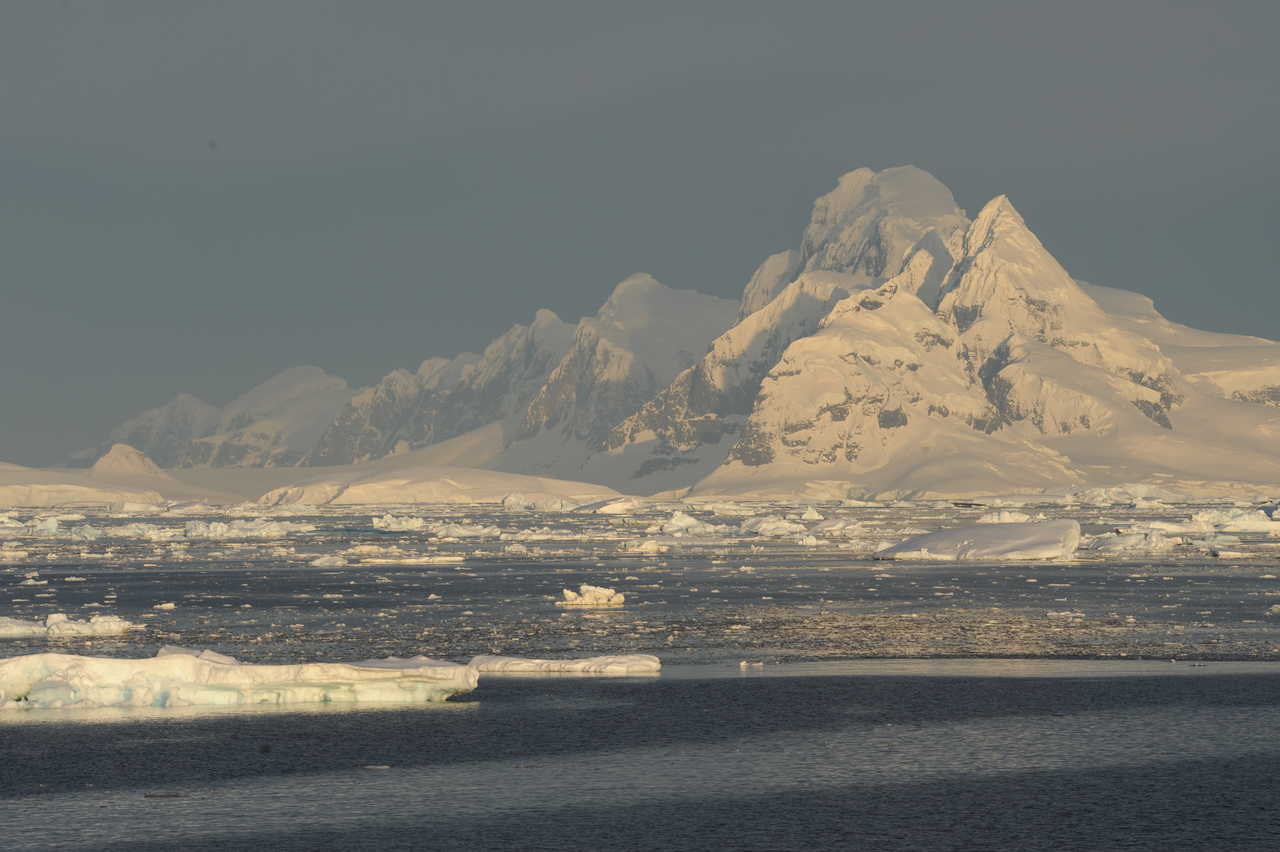 Photo d'un voyage en antarctique