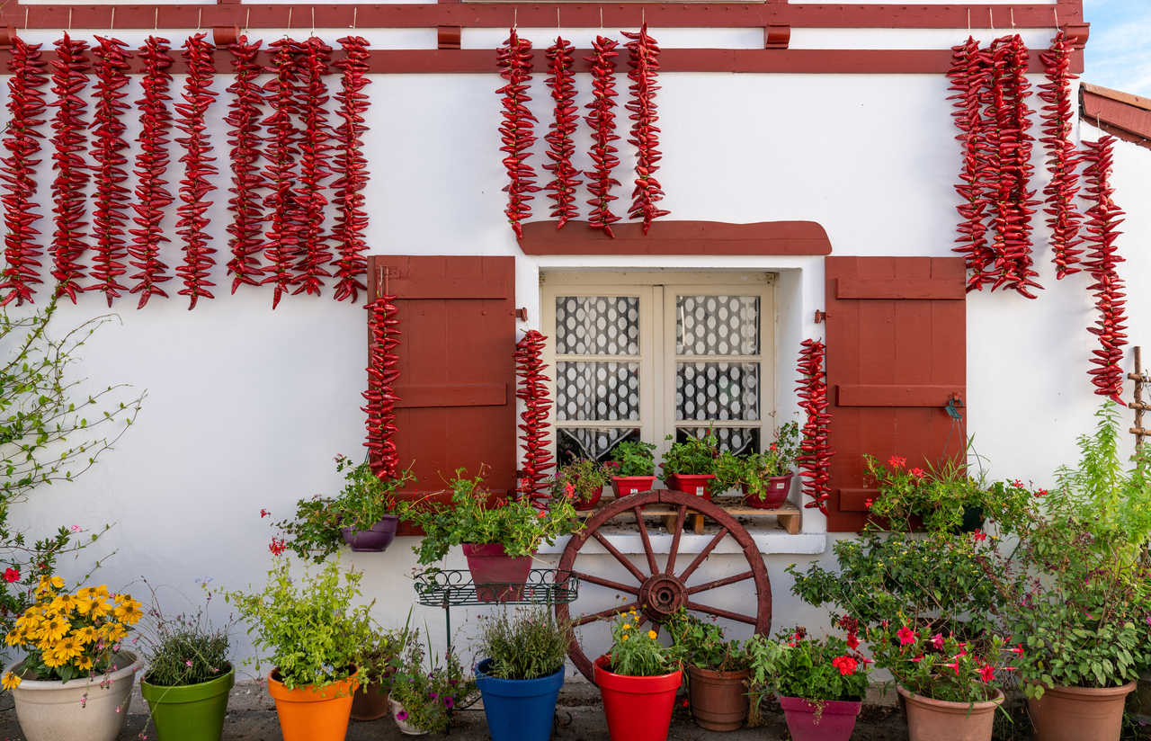 Piments d'Espelette rouges séchant sur une maison basque