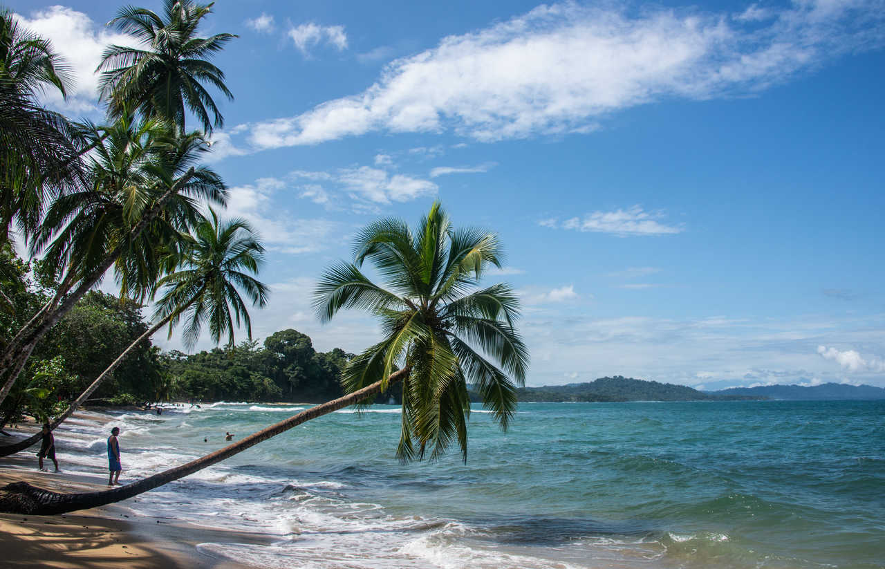 Plage au Costa Rica