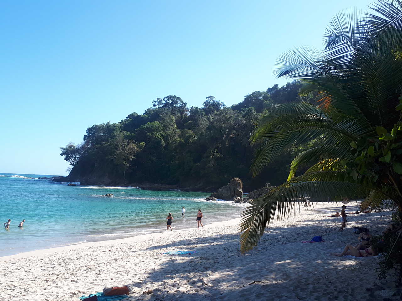 plage dans le Parc National Manuel Antonio au Costa Rica