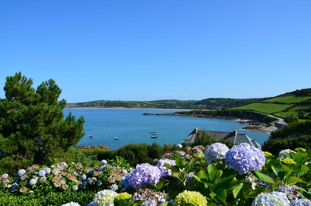 Plage et magnolias dans le Cotentin