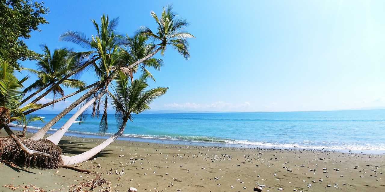 Plage paradisiaque du Costa Rica