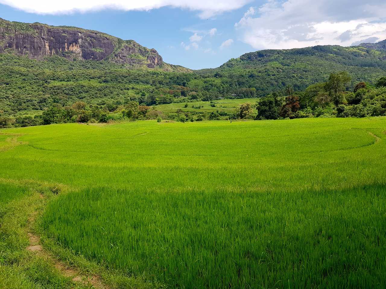 plaine devant Manigala au Sri Lanka