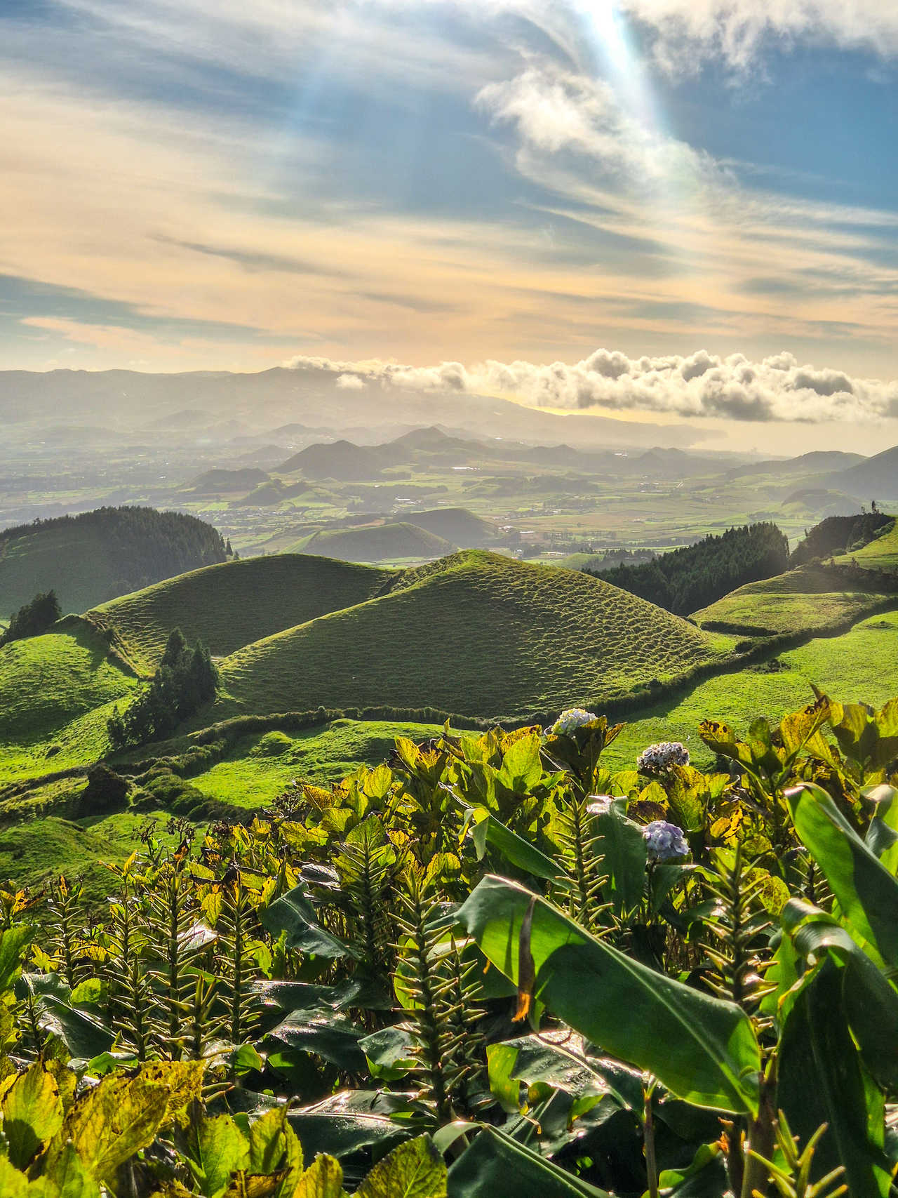 Point de vue depuis le Pico de Carvao sur l'ile de Sao Miguel aux Açores