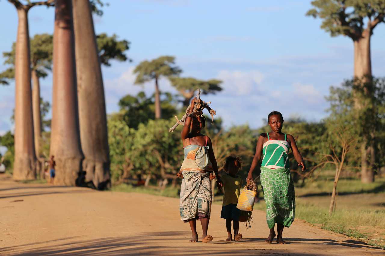 Population locale malgache sur l'Allée des Baobabs