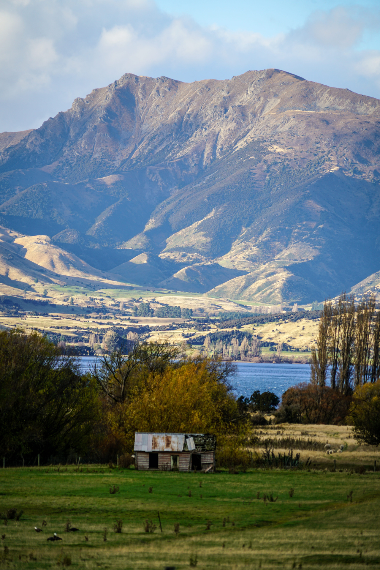 Queenstown Nouvelle Zélande Montagne