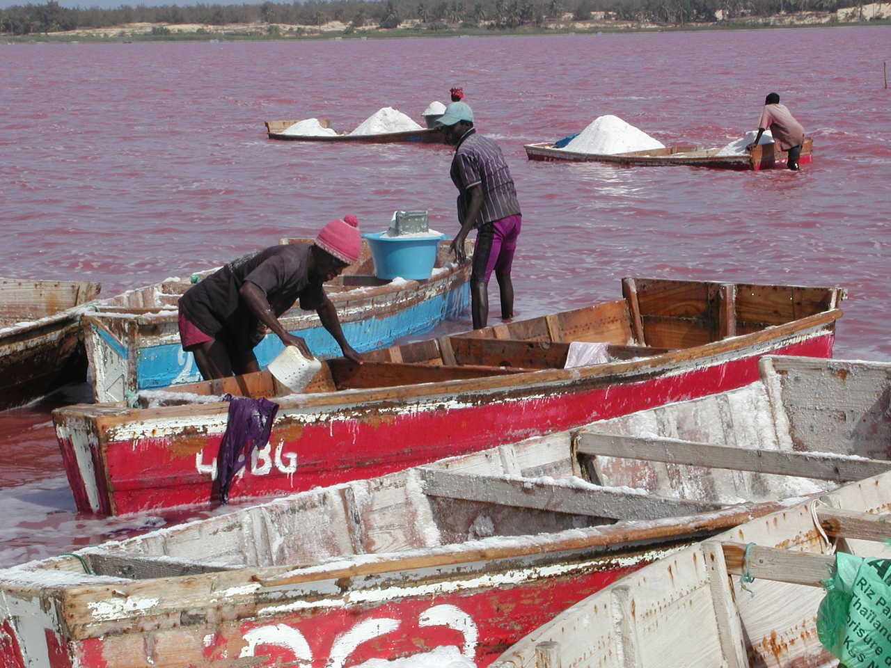 Ramasseurs de sel au lac Rose au Sénégal