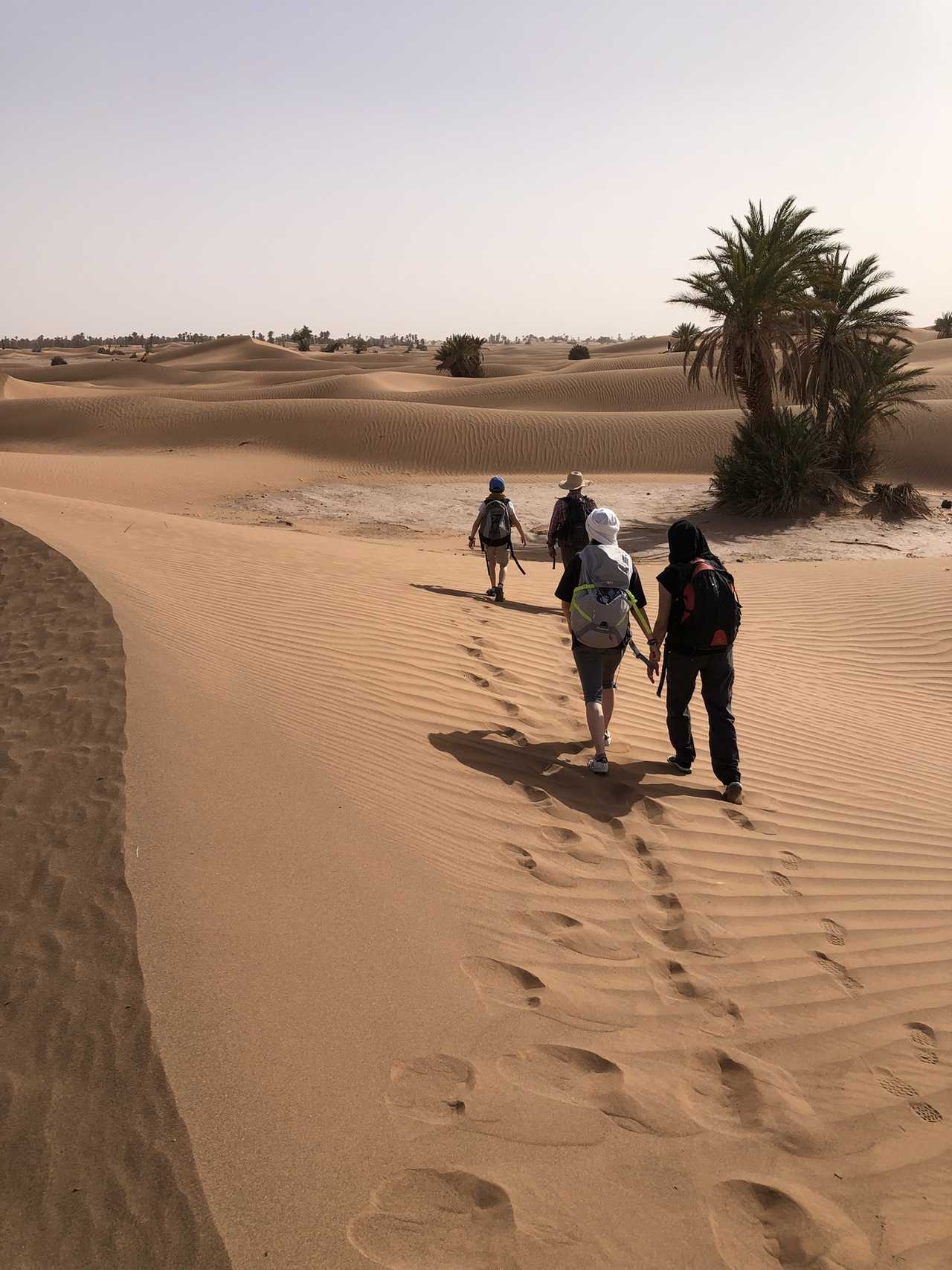 Rando dans le désert, Draa, Maroc