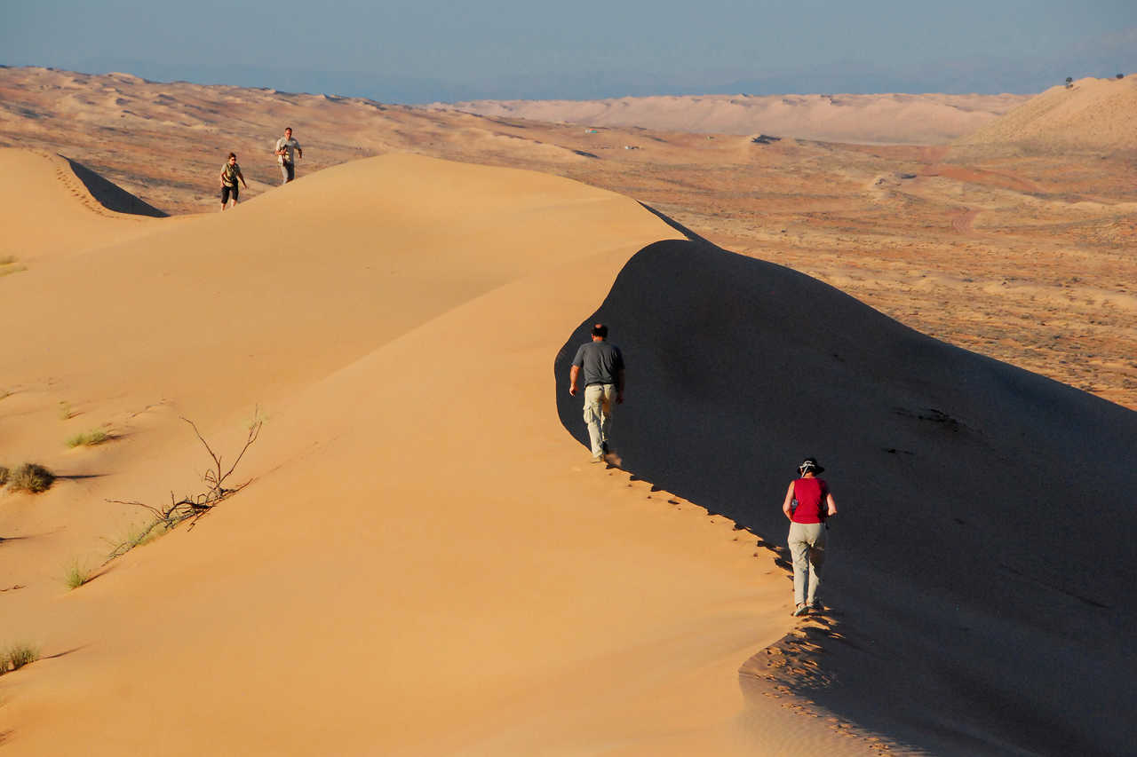 Rando dunes Wahiba Sand, Oman