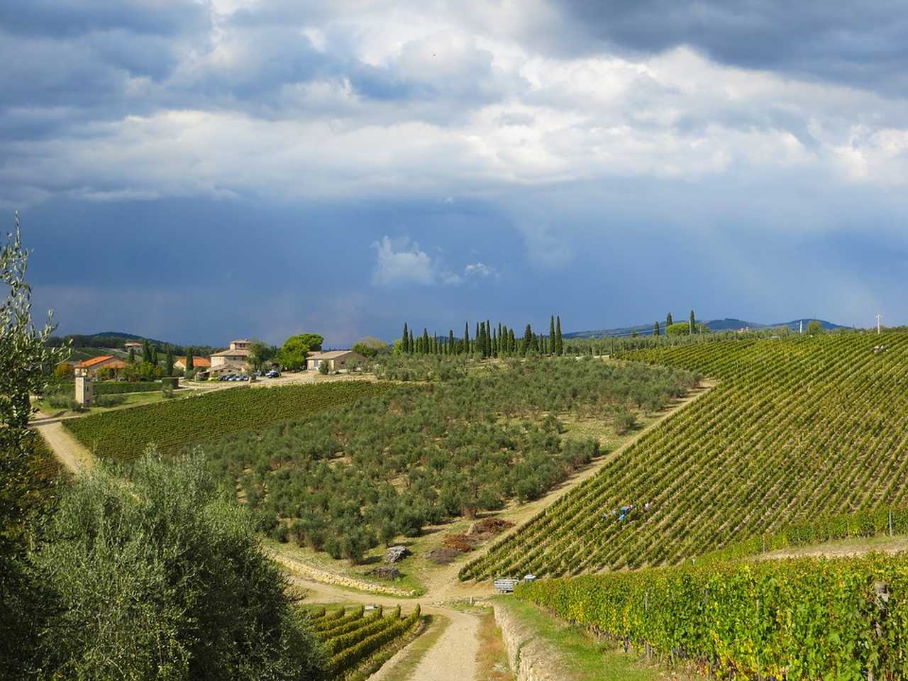 Randonnée au cœur de Radda in Chianti