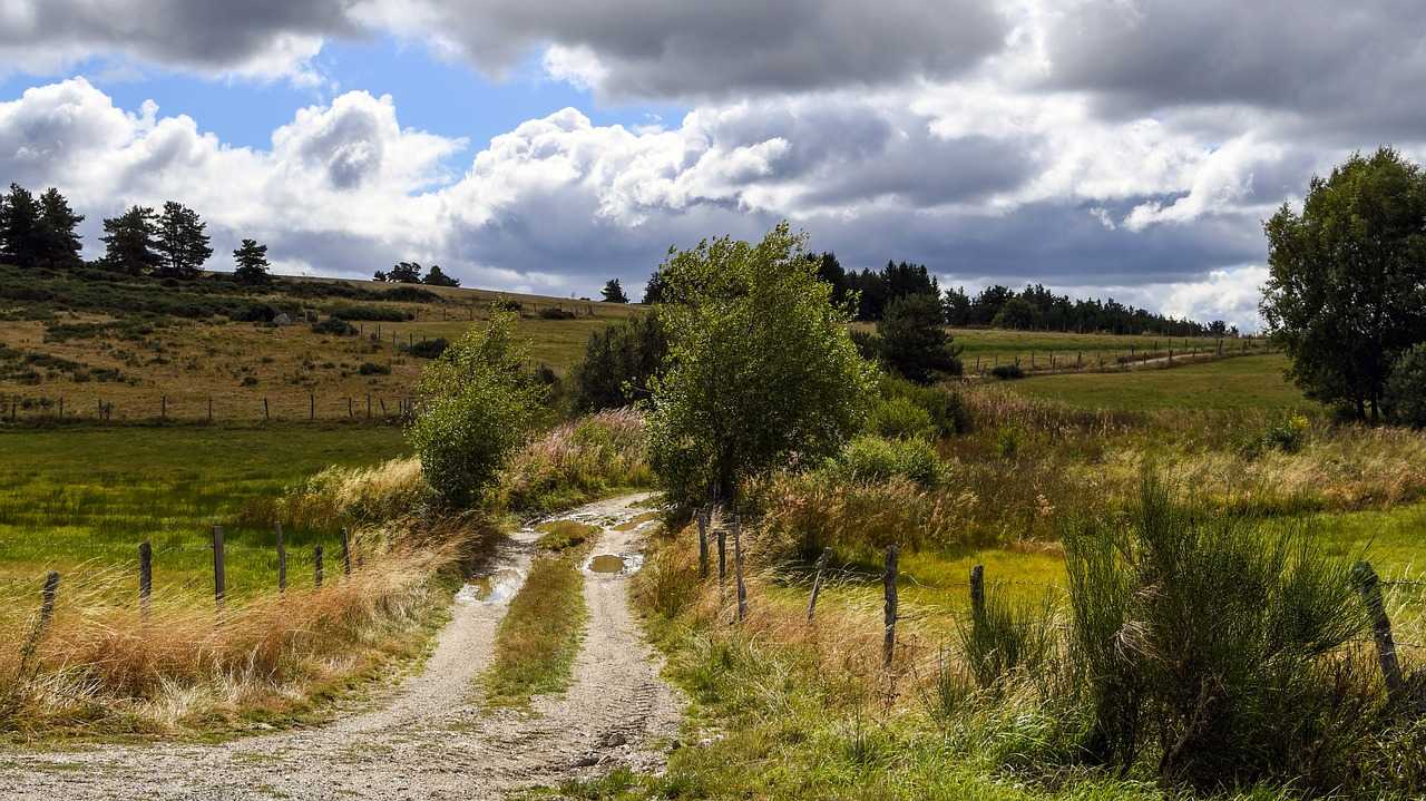 Randonnée au milieu des pâturages sur le chemin de Stevenson