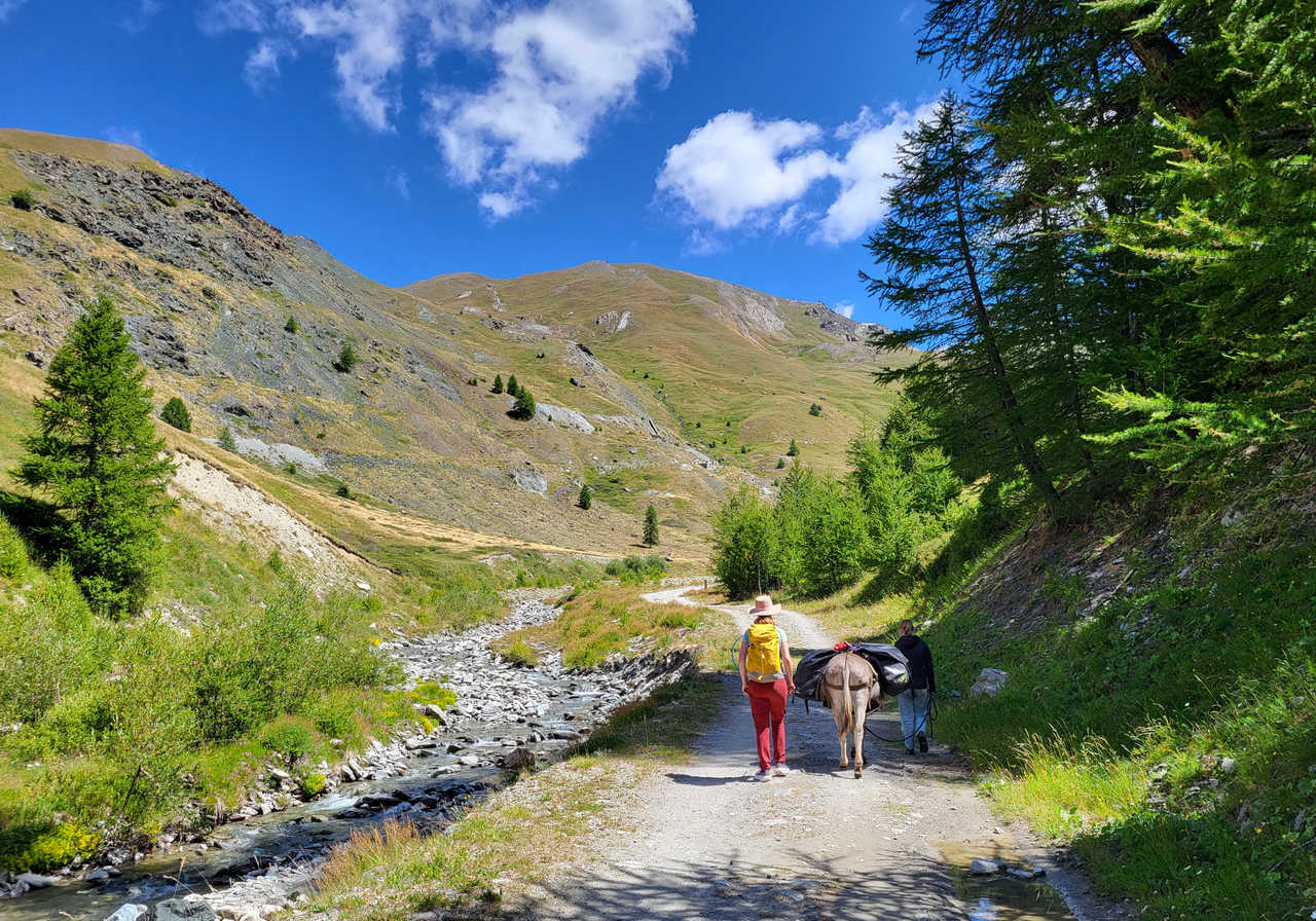 Randonnée avec un âne dans le Parc du Queyras