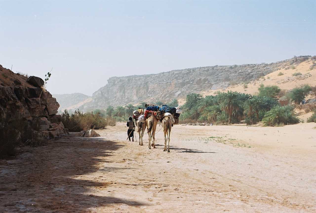 Randonnée chamelière dans l'Adrar