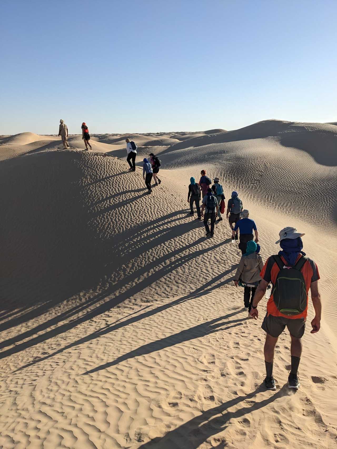 Randonnée chamelière dans l'Erg Oriental