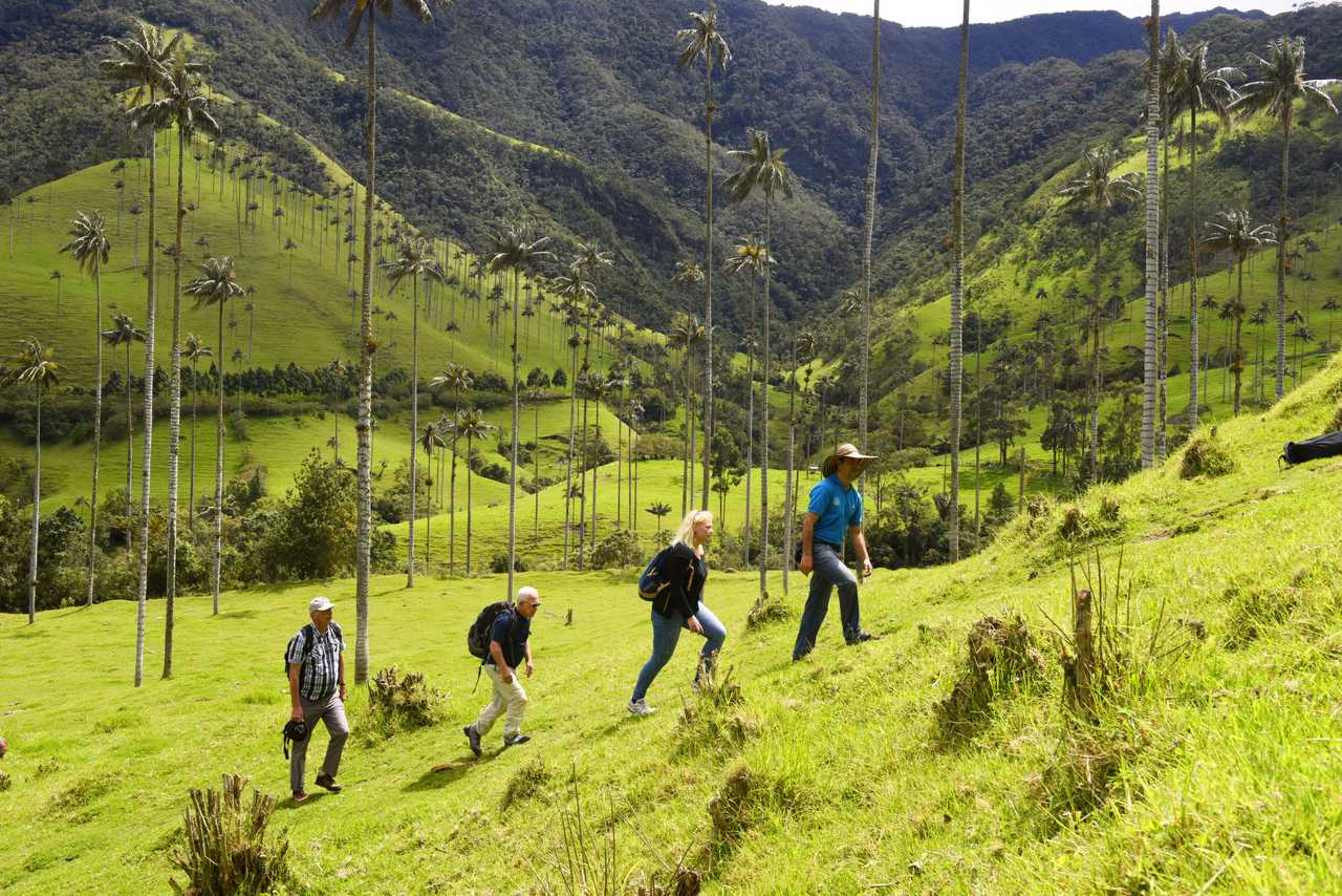 Image Des Andes aux Caraïbes : merveilles de la Colombie
