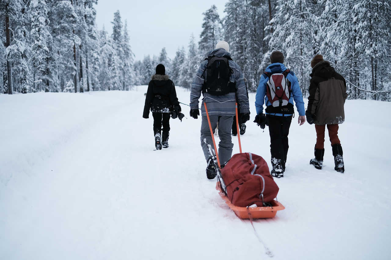 Randonnée dans la neige en Laponie finlandaise