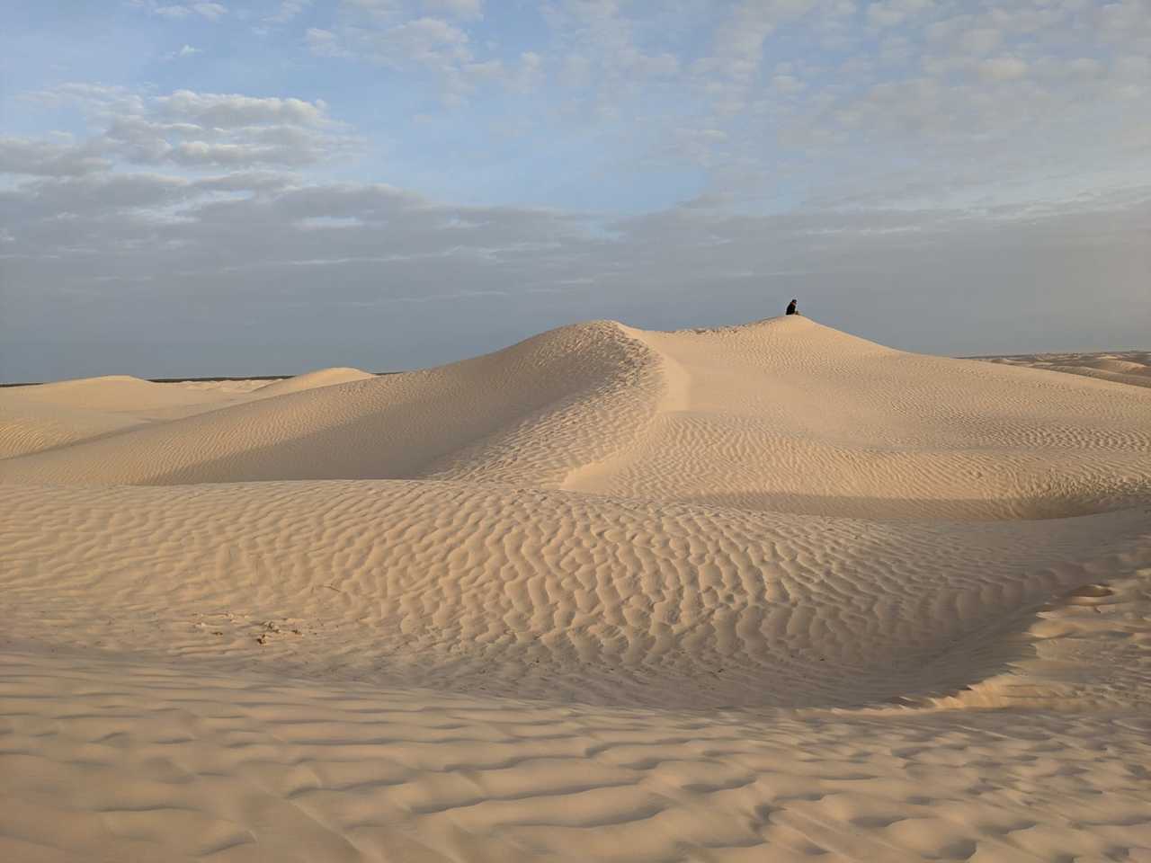 Randonnée dans l'Erg Oriental