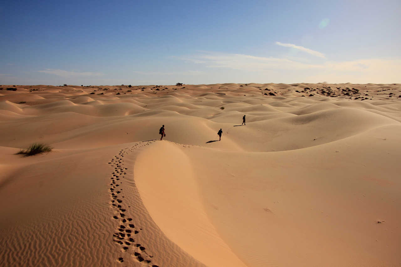 Randonnée dans les dunes de l'Erg Ouarane en Mauritanie