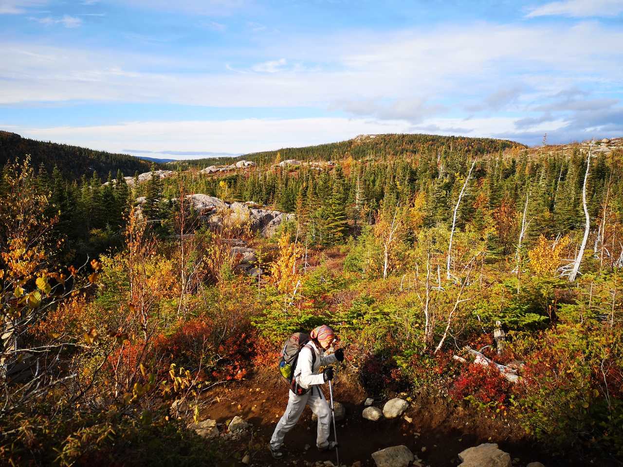 Randonnée dans les forêts du Québec l'automne