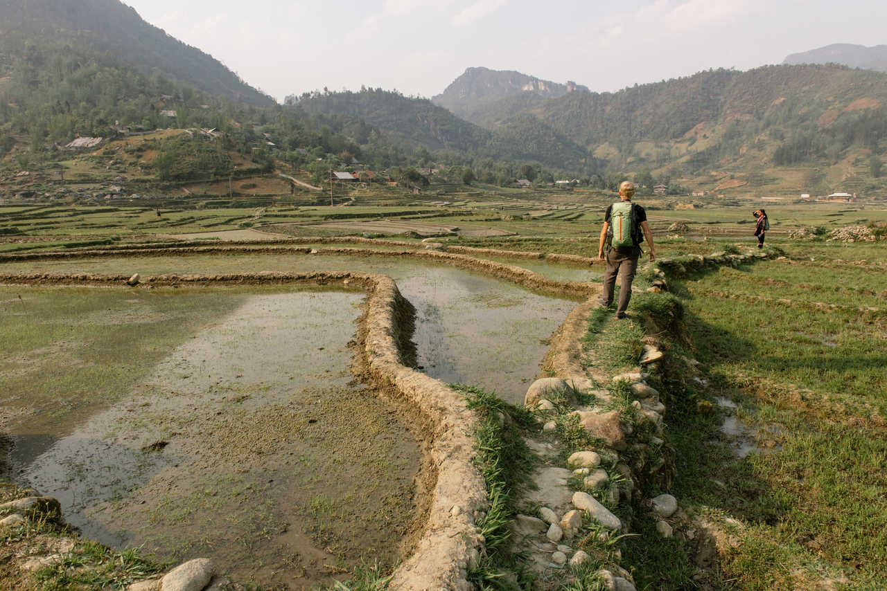 Randonnée dans les rizières au Vietnam