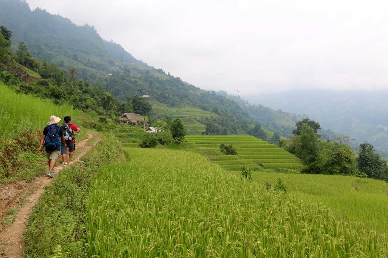 Randonnée dans les rizières de Ha Giang au Vietnam