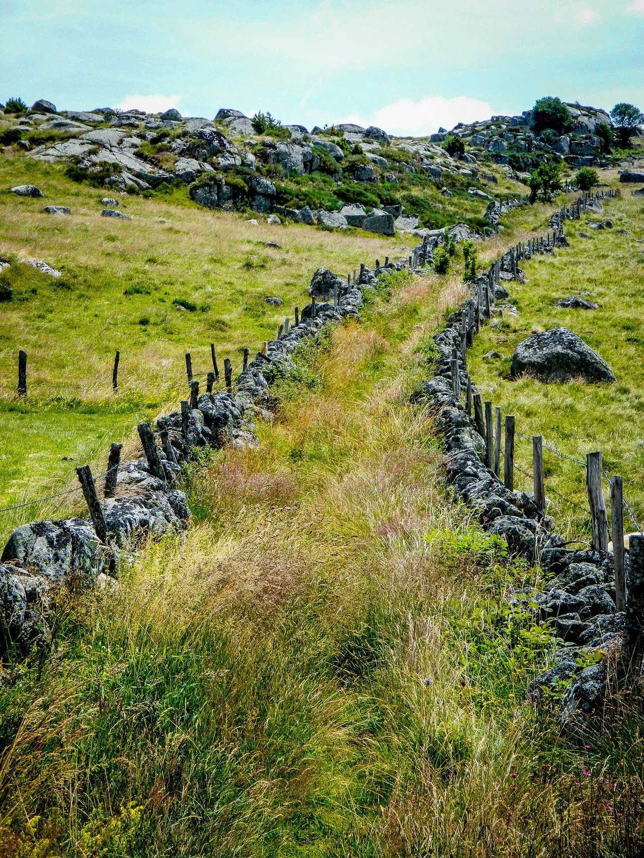 Randonnée du chemin de Compostelle dans la région de l'Aubrac