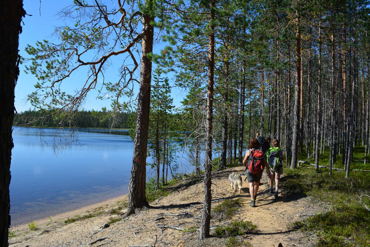 Randonnée en Finlande