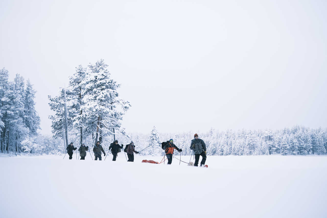 Randonnée raquettes à neige en Laponie