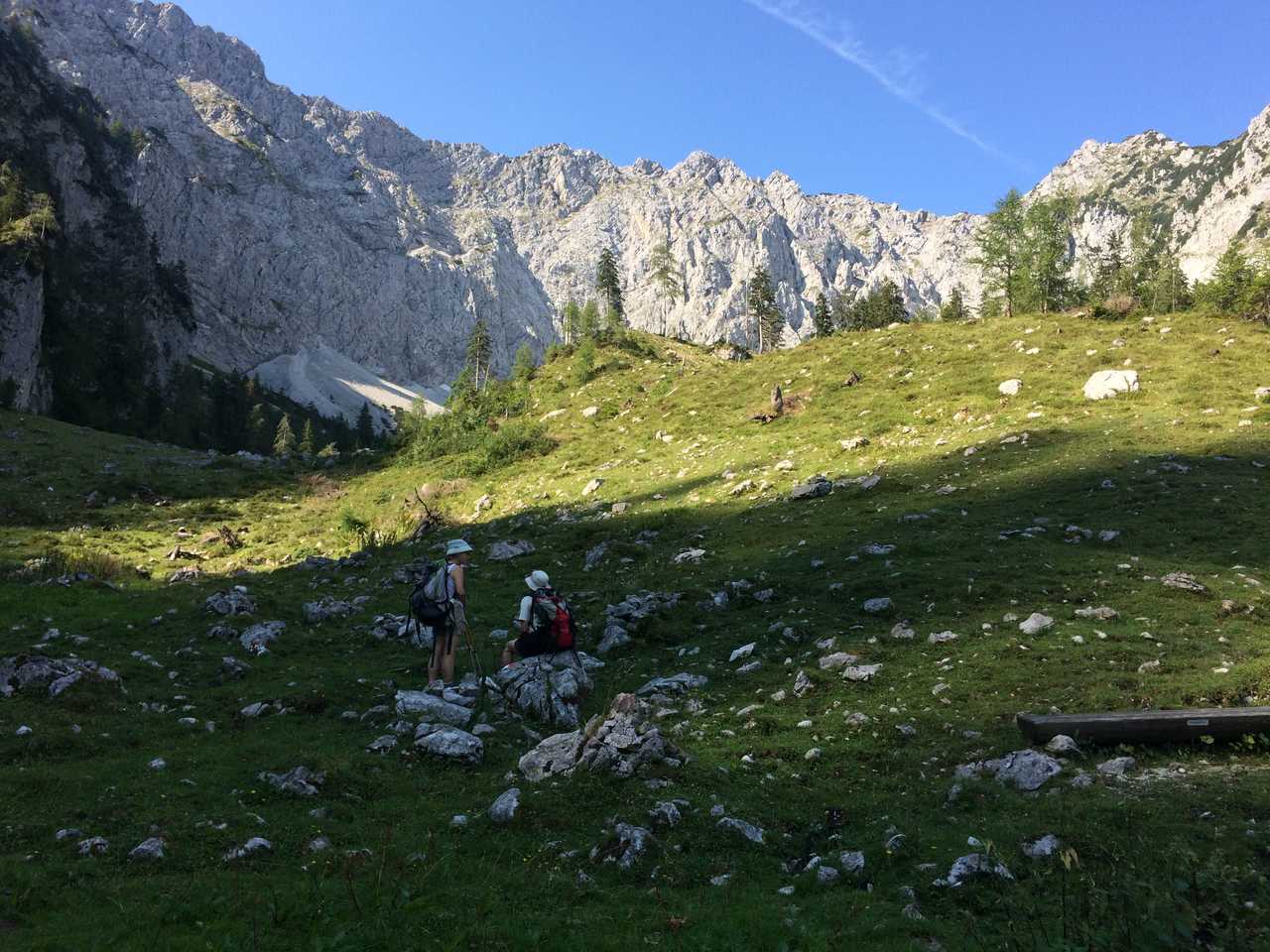 Randonnée sur les hauteurs de Walchsee avec vue sur la montagne en Autriche