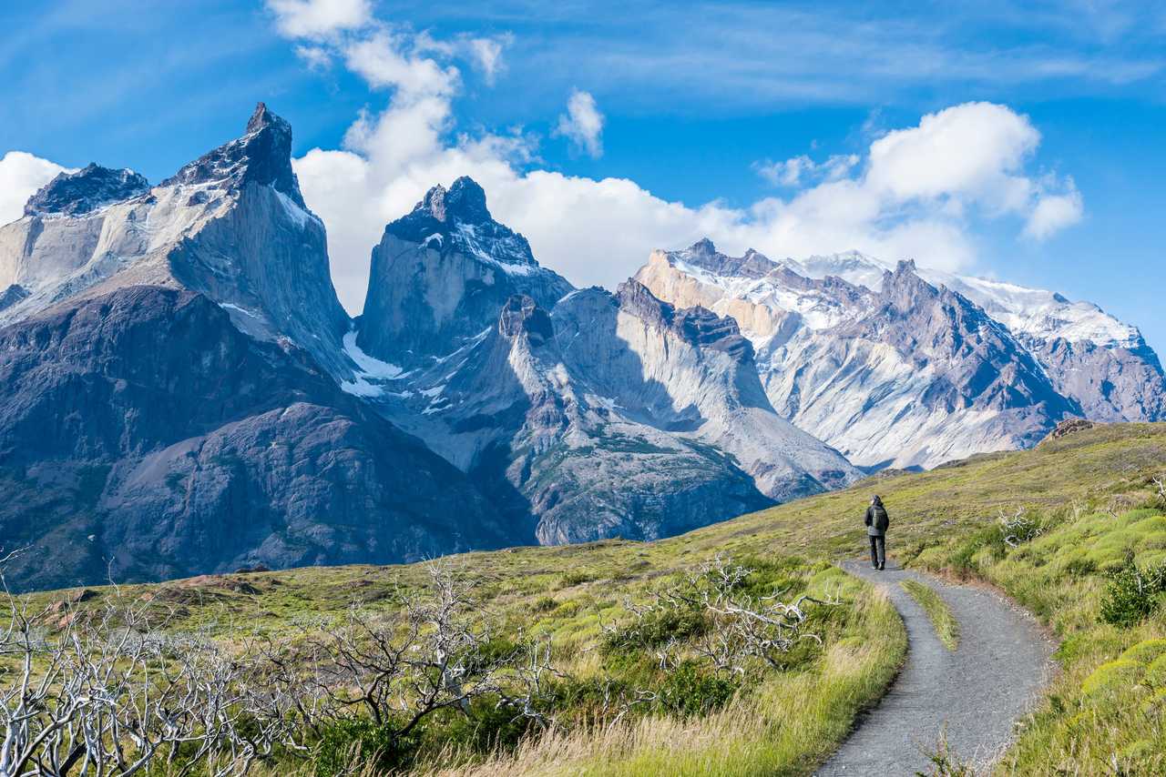 Randonneur de dos marchant sur un sentier herbeux face aux sommets enneigés et aux formations rocheuses spectaculaires des Cuernos del Paine, sous un ciel bleu, en Patagonie chilienne.
