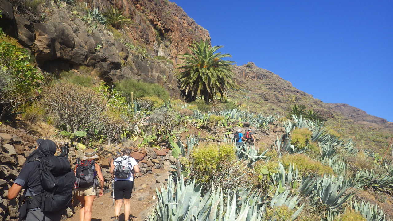 Randonneurs dans le canyon de Guarimiar, La Gomera, Canaries