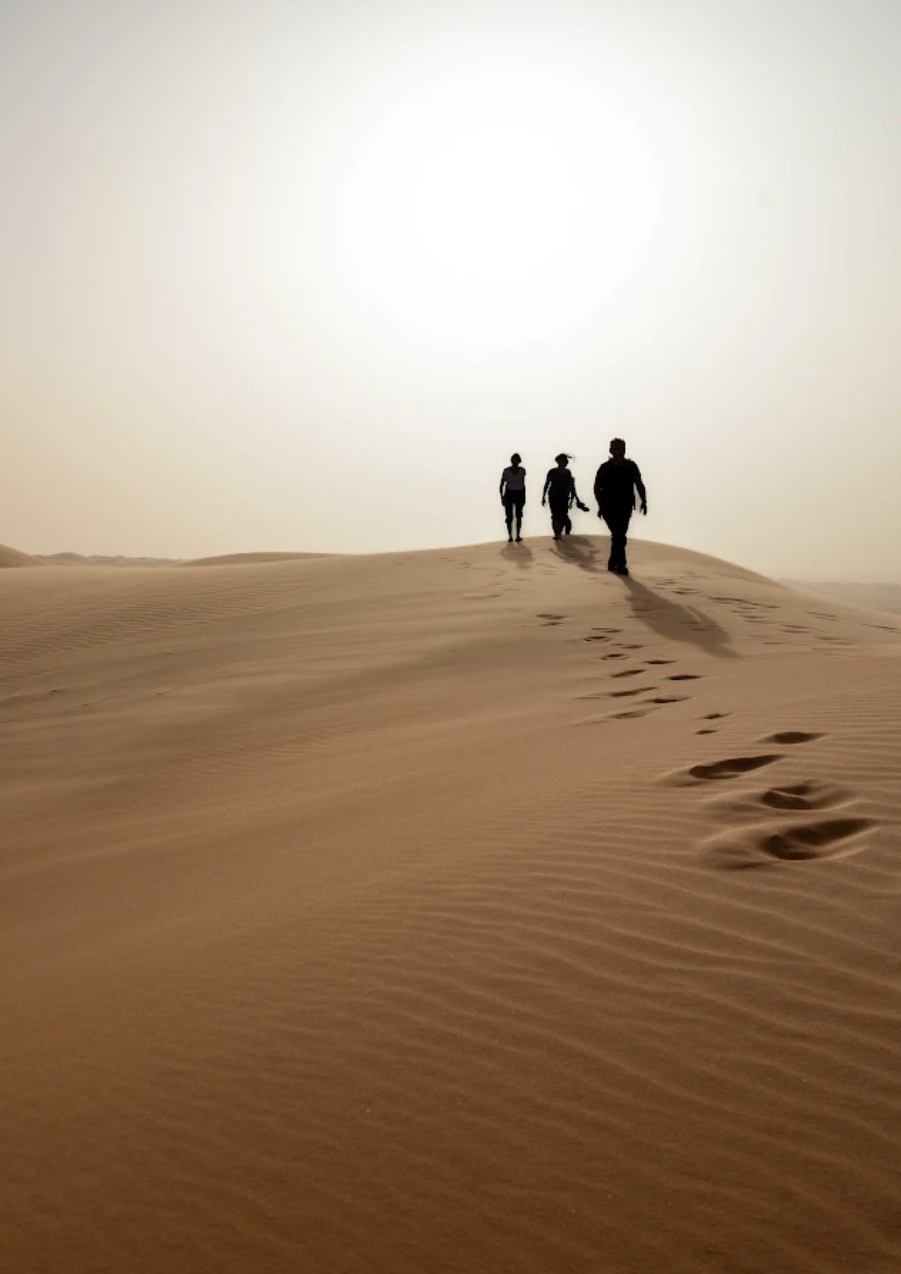 Randonneurs dans le Sahara en Mauritanie