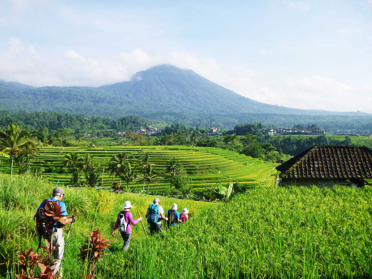 Randonneurs dans les rizières de Jatiluwih, Bali, Indonésie